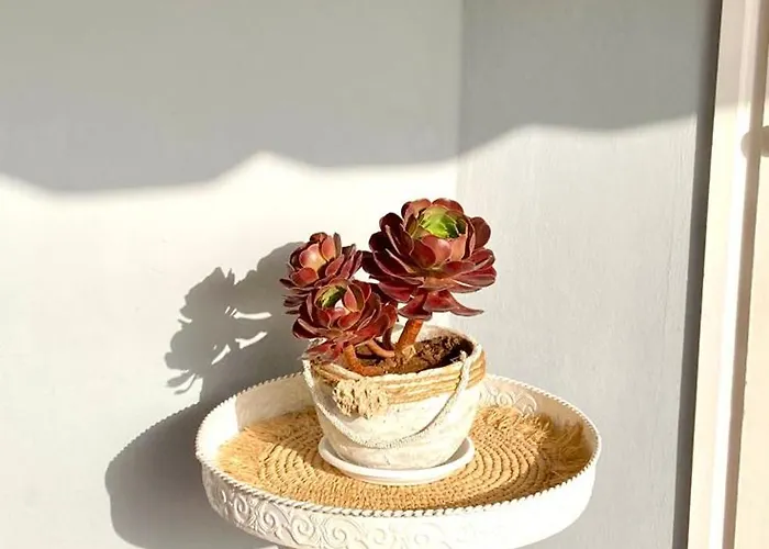 Ocean Breeze & View Medano El Médano